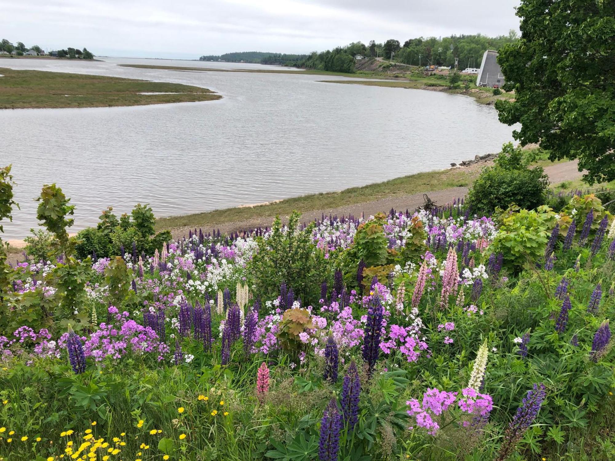 Pleasant Street Inn Parrsboro Kültér fotó